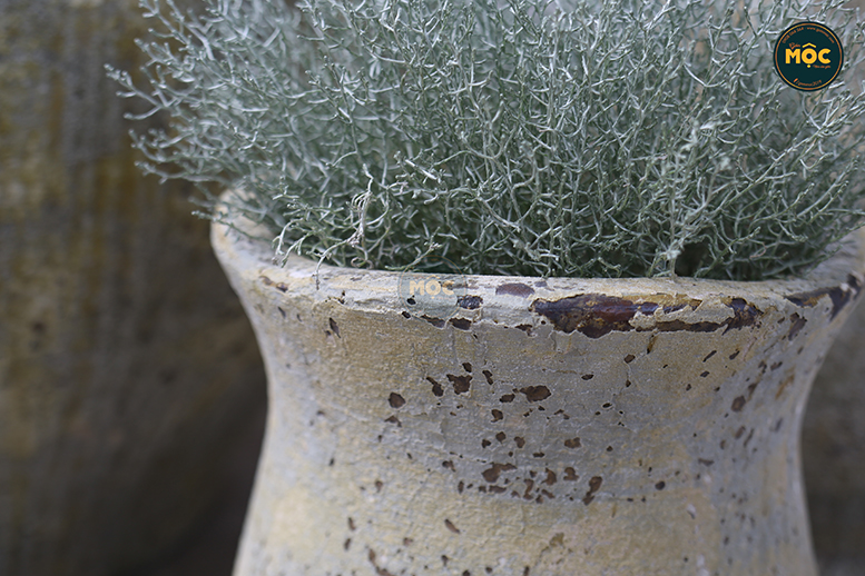 Bộ sưu tập gốm Màu thời đại