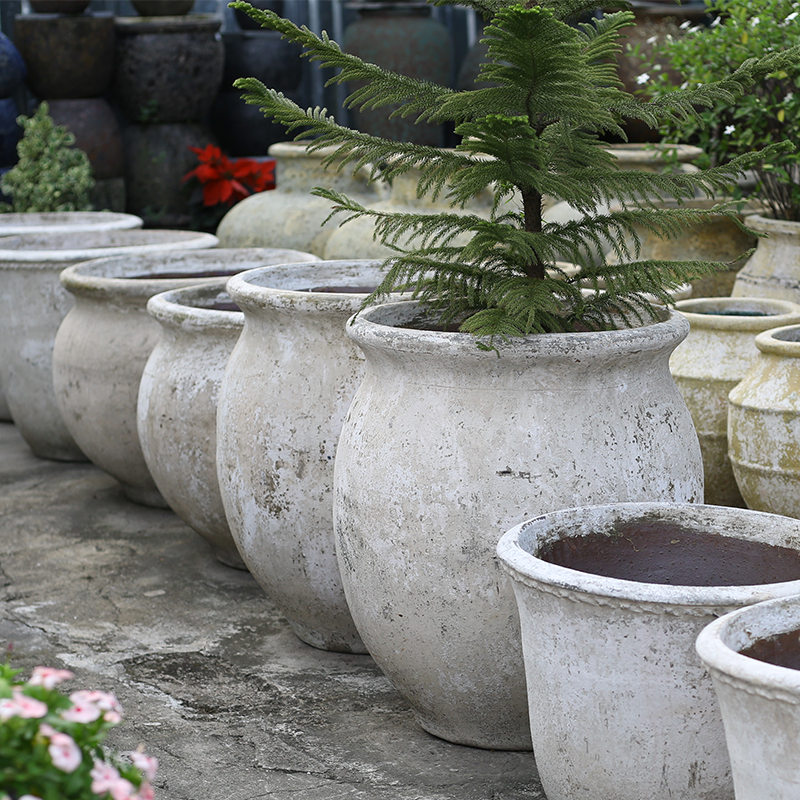 4026 Men Mỹ Thuật Hoa Tulip 65x65x75 M60